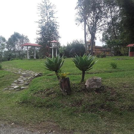 La Gaviota Bnb Bed and Breakfast Filandia Exteriör bild