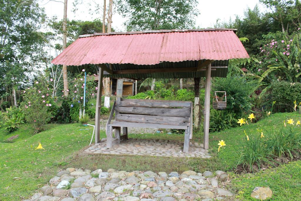 La Gaviota Bnb Bed and Breakfast Filandia Rum bild